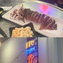 통통한오징어
