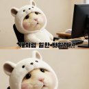 부광트레이더스 | [일상] 추워서 집에만 있는 잘먹고 살찌는 일상