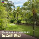젠헤어팜 | 보홀 노스젠 빌라 젠 스위트룸 객실 컨디션 직접 묵어본 솔직후기