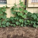 양재천사유치원 이미지