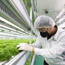 이로운팜 이미지