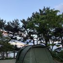 울산광역시 동구청 본관동 화장실 | 울산캠핑장, 오션뷰를 보며 캠핑을 즐길 수 있는 대왕암공원 오토캠핑장, 32번 데크 후기, 가마보코3S 피칭