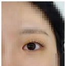밀리브로우 | 화곡속눈썹 잘하는 곳을 찾는다면? 밀리브로우 방문 후기