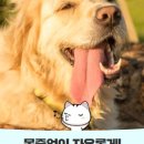 덕수공원반려견놀이터 이미지