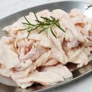 고기백과 이미지