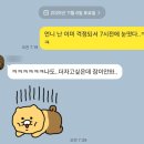 오류5길 | 2025 간월재 선셋하이킹 후기(feat.영남알프스 복합웰컴센터 뚜벅이코스)