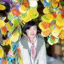 제주마당 이미지