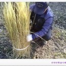 한아름햇살농원