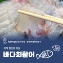 바다회마트 | 삼척중앙시장 회포장 추천 바다회활어 내돈내산 후기