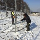 한마음 한뜻 농장 이미지