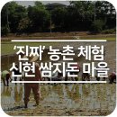 신현(쌈지돈)마을 이미지