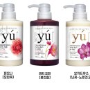 도그비잉펫케어 이미지