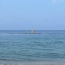 고식당 | [고성] 교암리 해수욕장 주변 식당 | 미나리 해물 철판요리 | 강원도 고성 고식당, 솔직 방문 후기