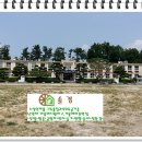 흥왕초등학교 이미지