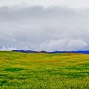 시원목장 이미지