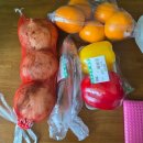 싱싱청과 | 방이동 싱싱한 과일 채소 [초록청과야채] 방이동 주민의 후기