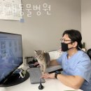 파랑새동물병원 네이버블로그