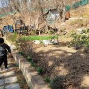 대현농장 이미지