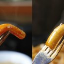 애플하우스