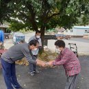 즐거운 자동차 마을 이미지