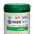관주 이미지