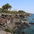 금호리조트(주)제주 이미지