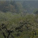 목천농장 이미지