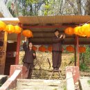 삼보정사 Daum카페
