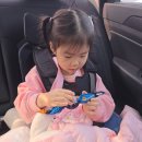 이원로 | [평타육아] 용인 처인구 딸기+동물농장 헤븐온어스 후기