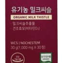 이이엘플러스