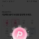 엠넷 출석 이미지