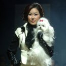 민경애견 이미지