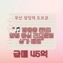 중앙대로L 이미지