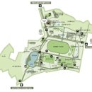 신림 다목적구장 이미지