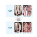 코리아양돈 | 프리미엄 "비육돈" 사료첨가제, 빠른출하일령 특히 여름철 빠른 단축(피기맥스)