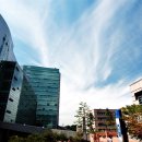 숭실대학교 이미지