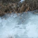 강촌산장 이미지