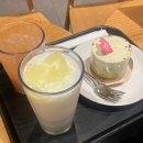 스타벅스 대구복현DT