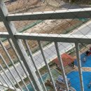 비둘기경로당 이미지