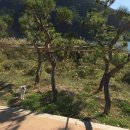 장현헤어모드 | [팀일그란데] 한글날 호명산 라이딩 2부