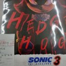 Sonic the Hedgehog 2 | (노스포) 수퍼 소닉 3 (Sonic the Hedgehog 2 2022) 후기 고양스타필드 메가박스