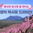 영덕인쇄