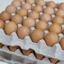 안일농장 이미지