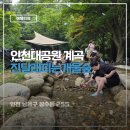 장자골 | 인천대공원 계곡 개울숲 아이랑 주말 방문 후기 주차부터 준비물까지