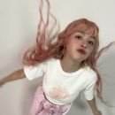 릴리핑크