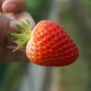 태경농장2 이미지