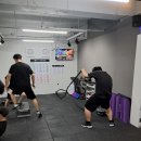 슈가복싱 이미지