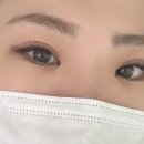 블룸인래쉬
