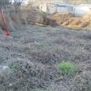 마산리목장 이미지