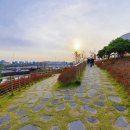 새빛발전소 이미지